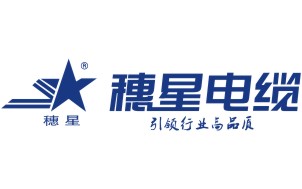 召開工會(huì)員工代表會(huì)議，助力穗星長遠(yuǎn)發(fā)展
