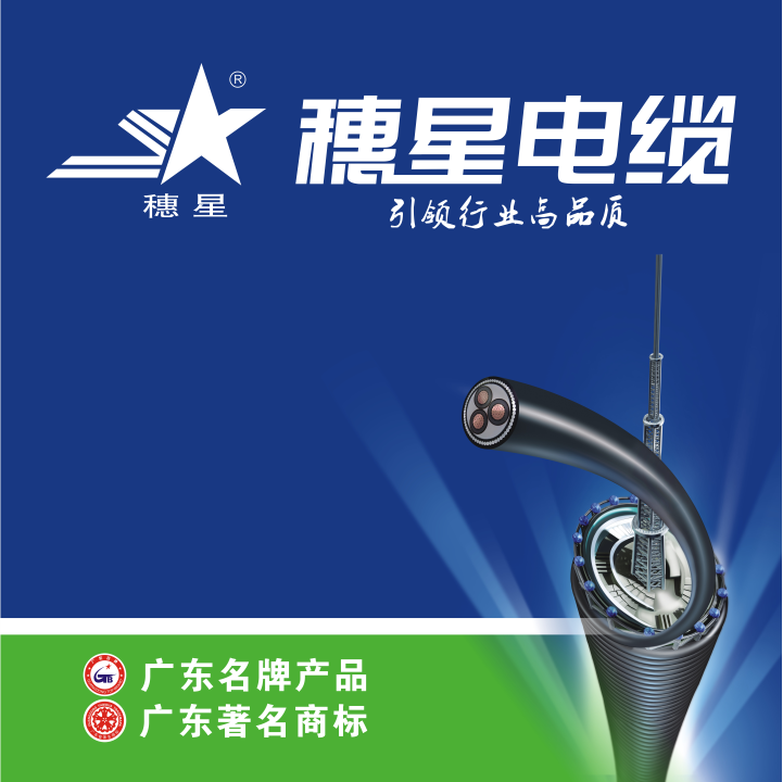 廣州電纜：我國(guó)首家電線電纜企業(yè)舉辦創(chuàng)立80周年慶典