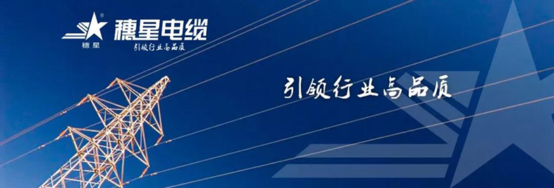 微信圖片_20200229093932.jpg